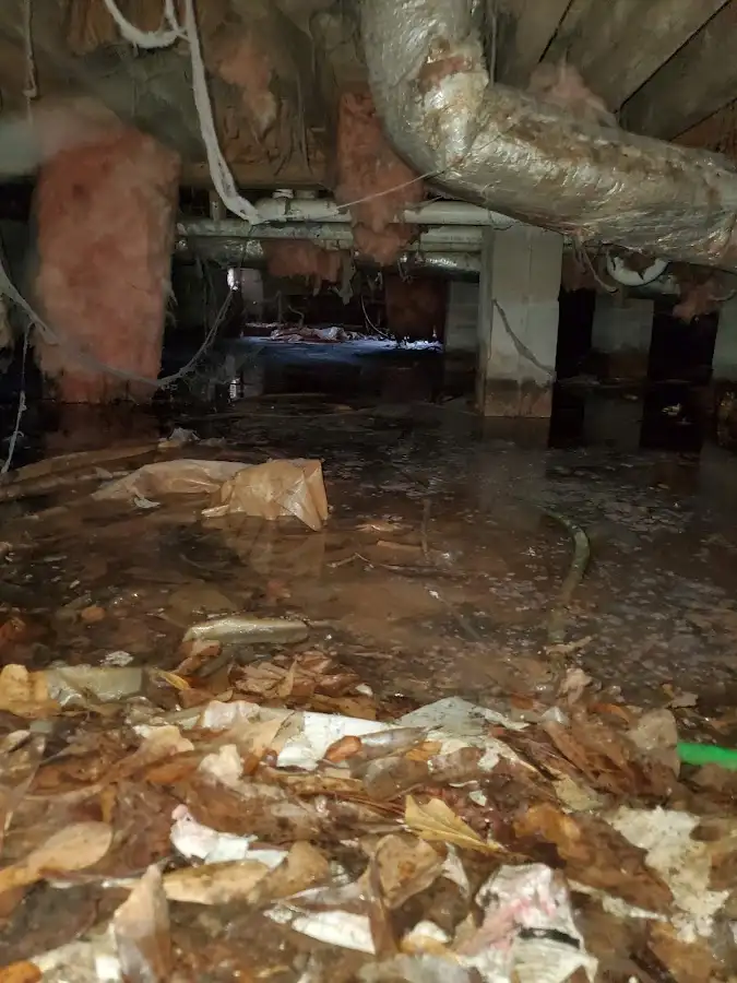 Crawl space flood assessment for Leak Detection & Repair in Ashland